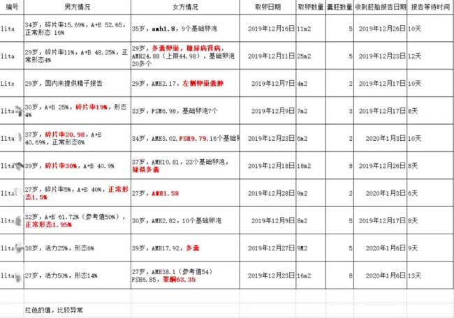 乌克兰丽塔医院自卵胚胎报告