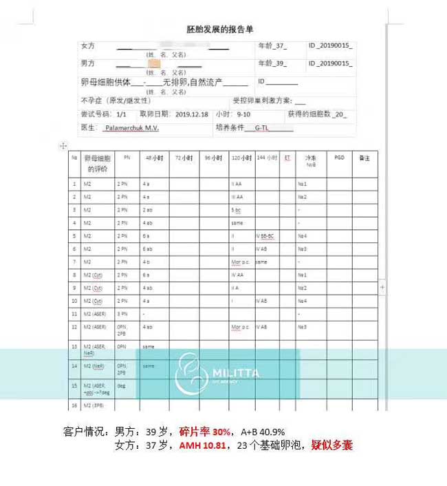 乌克兰丽塔医院自卵胚胎报告