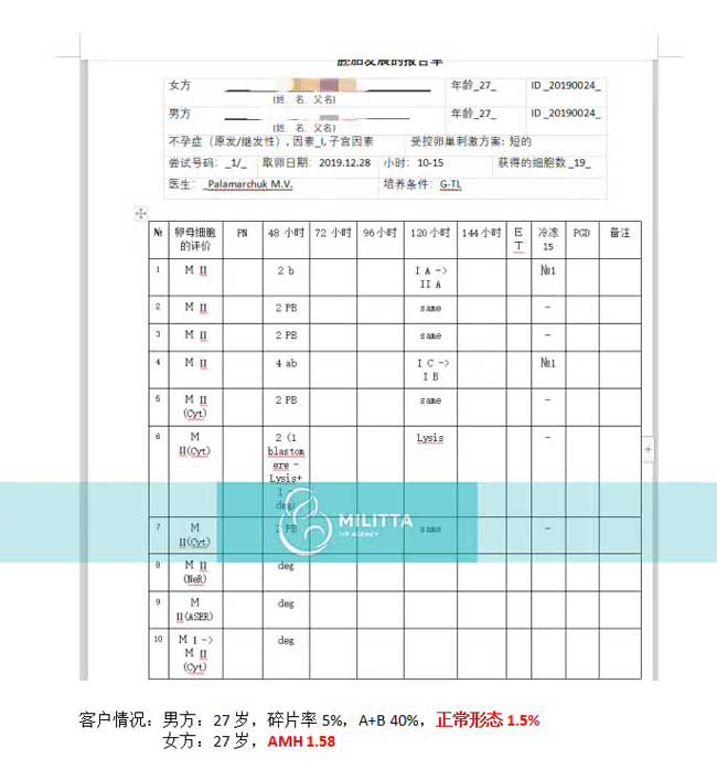 乌克兰丽塔医院自卵胚胎报告