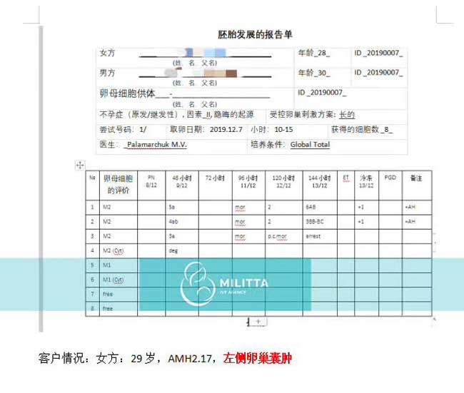 乌克兰丽塔医院自卵胚胎报告