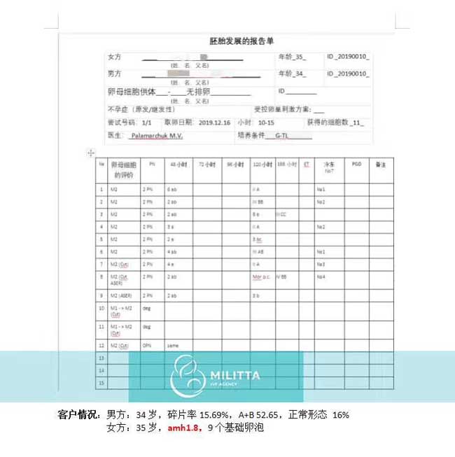 乌克兰丽塔医院自卵胚胎报告