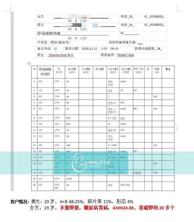 乌克兰丽塔医院自卵胚胎报告