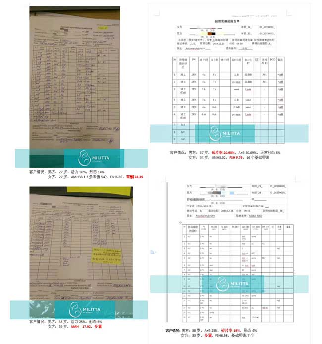 乌克兰丽塔医院自卵胚胎报告