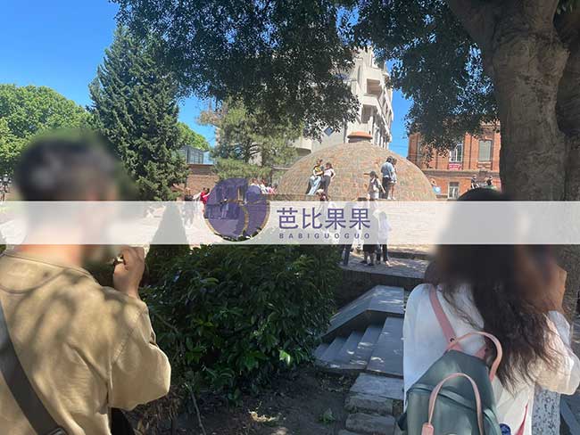 格鲁吉亚试管之旅